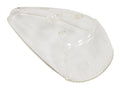 Turn Signal Lens, Clear, L/R image 0